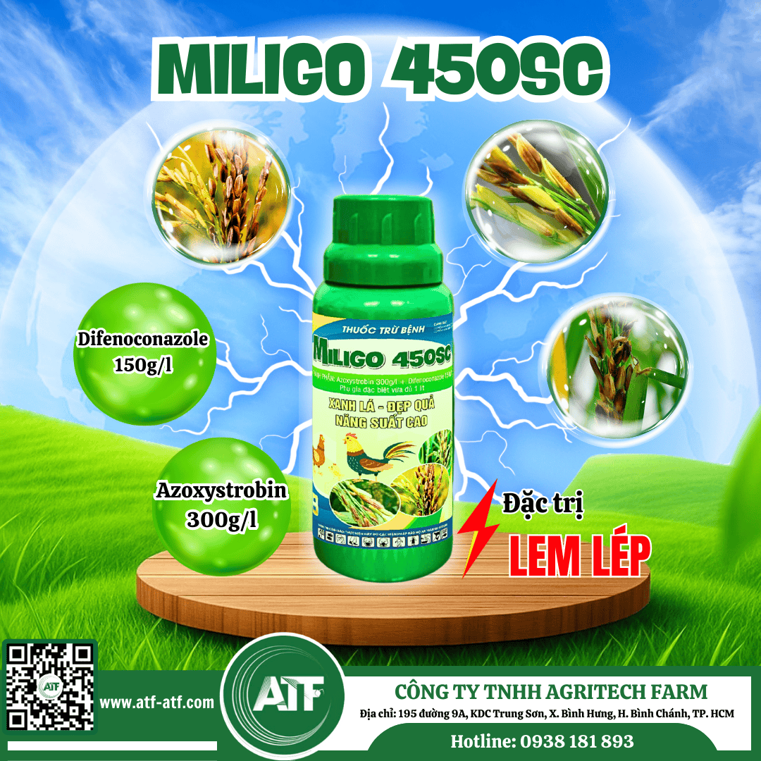 Bộ 3 268 PLUS - Quét Sạch Đạo Ôn - Vi Khuẩn - Lem Lép Hạt - Ảnh 4
