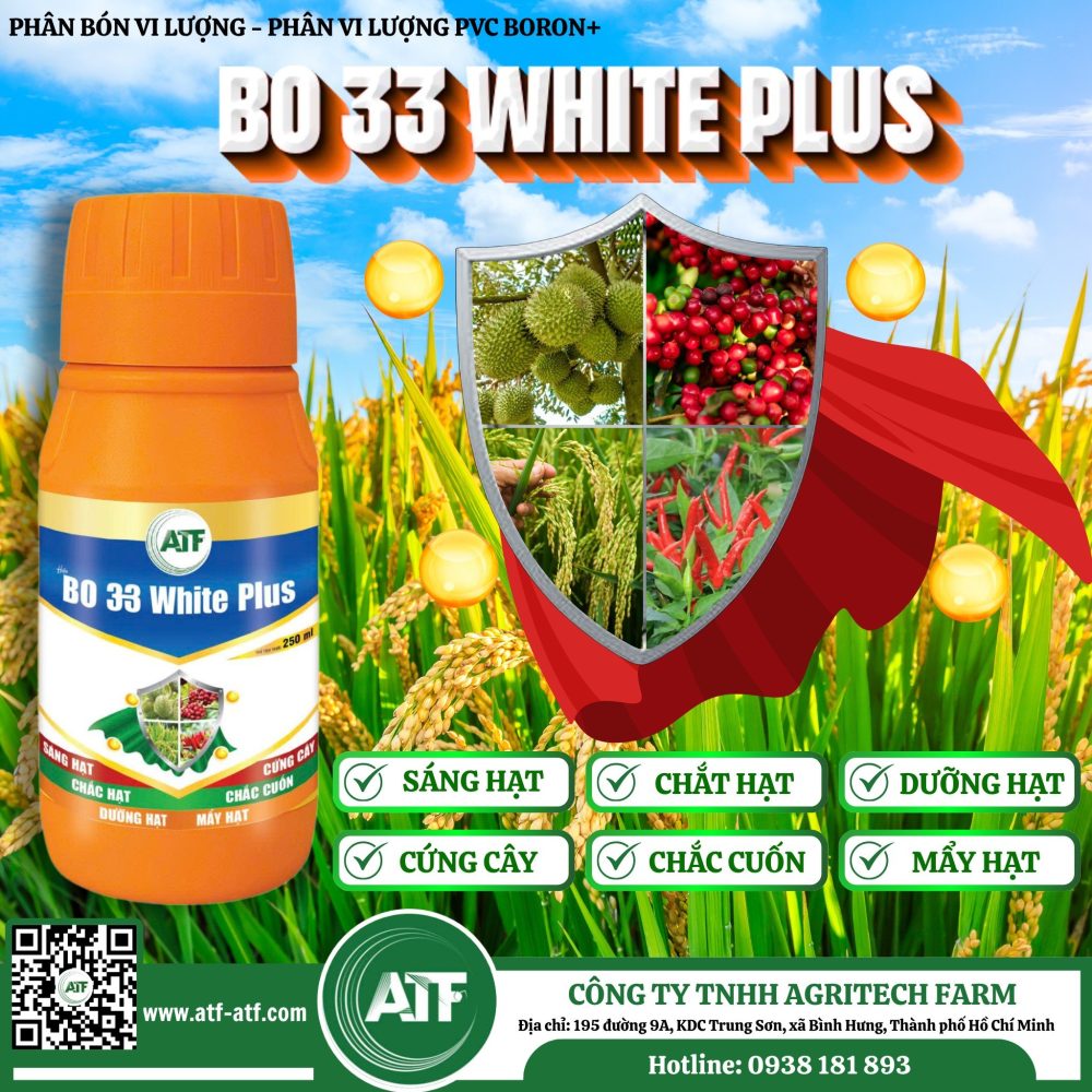 BO 33 WHITE PLUS (BORON+)/250ml – Sáng hạt, chắc hạt, cứng cây, chắc cuốn, dưỡng hạt, mẩy hạt
